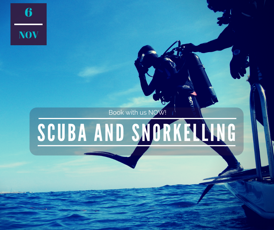6 of November Post - No Wind Activities Book With us NOW! Scuba and Snorkelling
