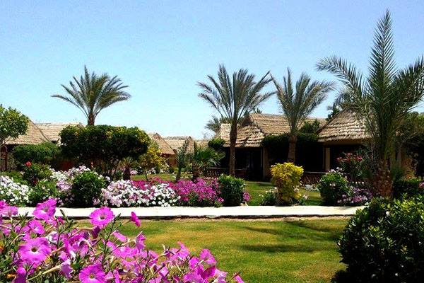 panorama 3 Kitesurfing Holiday Accommodation in 3* Hotel Panorama - Gardens